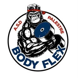 Body Flex asd