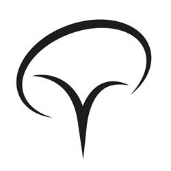 Punti Design