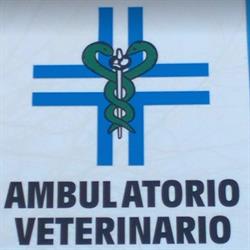 Ambulatorio Veterinario Dott. Ferrandello