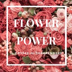 Flower Power Fioreria