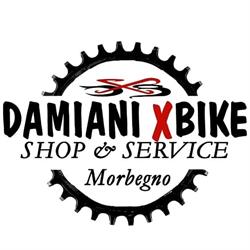 Damiani Xbike