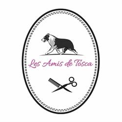 Toelettatura Prato - Les Amis de Tosca