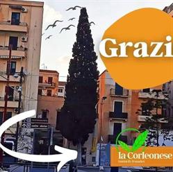 La corleonese foodsicily & market