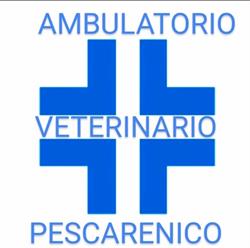 Ambulatorio Veterinario Pescarenico