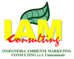 I.A.M. Consulting