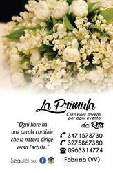 La Primula Di Rita