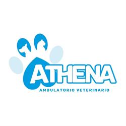 Athena Ambulatorio Veterinario