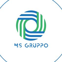 MS Gruppo sas