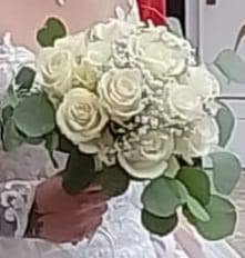 Petali di Coccia Edoardo