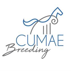CUMAE Breeding - Allevamento Cavalli Sportivi