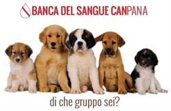 Banca del Sangue CaNpana