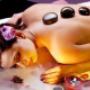 Gallery Professionale
