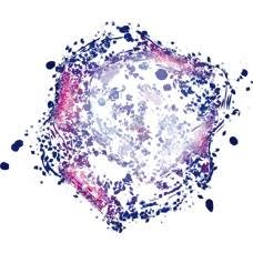 Nebula Design