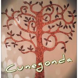 Centro Diurno Cunegonda