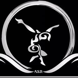 DanzArt Academy ASD