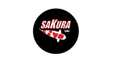 Sakura Lake Asd