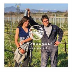 Azienda Agricola Le Marognole