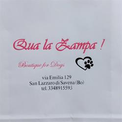 Qua la Zampa