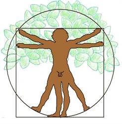 Bioeco Habitat e Architettura