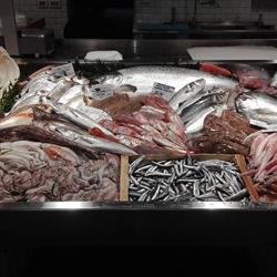 La bottega del pescato