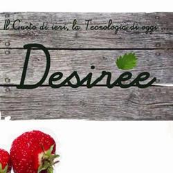 Desiree Italia