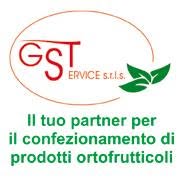 GST Service SRLS