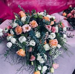 Piante e fiori maikel
