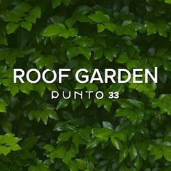 PLOOM STORE-Punto 33
