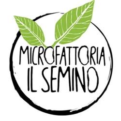 Azienda Agricola Il Semino