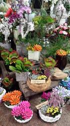 Garden Center