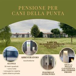 Pensione Della Punta