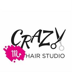 Crazy Hair Studio