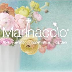 Marinaccio Fiori