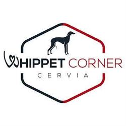 Whippet corner