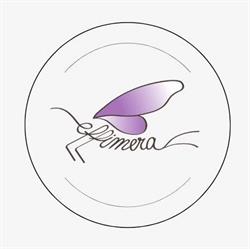 Effimera Shop