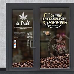 Dr. Plant&Paradise Seeds