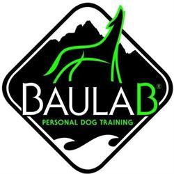 Baulab Personal Dog Training