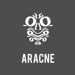 Aracne Stampa