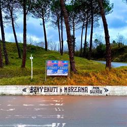Bar Arzilli