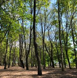 Parco delle Querce Sporting Club