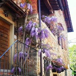Casa Vacanze Il Glicine