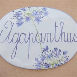 Agapanthus - bilocale, la campagna sul mare