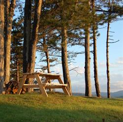 La Tana degli Scoiattoli Bed&Breakfast/Affitto Appartamenti Loiano - BO