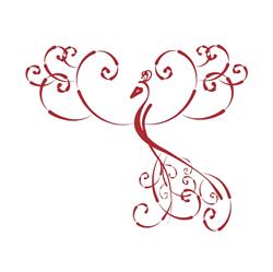 Estetica La Fenice di Alina