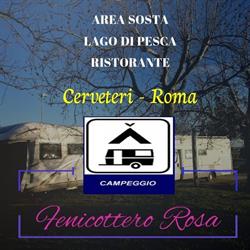 Laghi Fenicottero Rosa