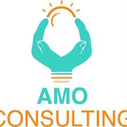 AMO CONSULTING SRL