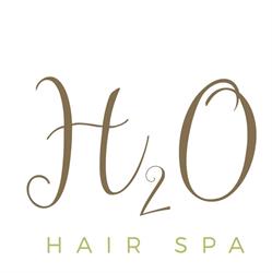 H2O Hair SPA