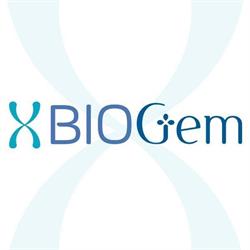 XBIOGem S.r.l
