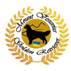 Mount Vesuvius Golden Retriever
