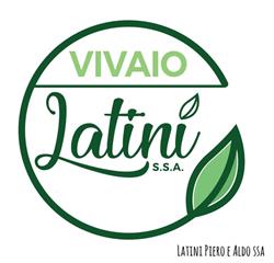 Vivaio Latini
